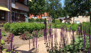 Bedrijfsterreinen, belevingstuinen, beweegtuinen en landschapsbeheer voor bedrijven, zorginstellingen en verpleeghuizen