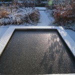 spiegelvijver winterbeeld spiegelvijver - foto Vicas Tuinontwerpen