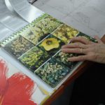 Tuincursus - Cursus Tuinarchitectuur - cursus Tuinontwerpen